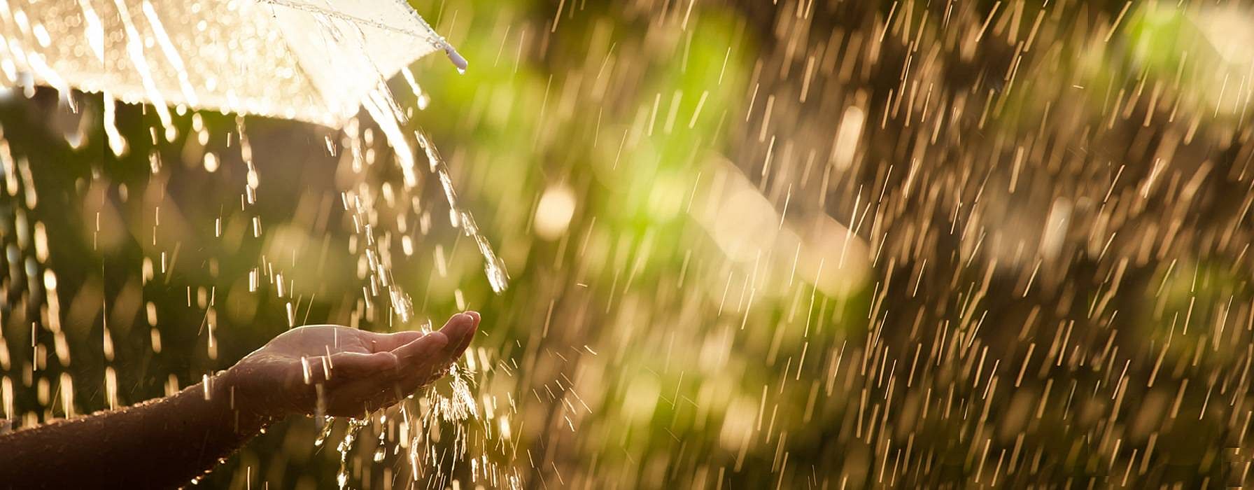 Regen und Regenschirm
