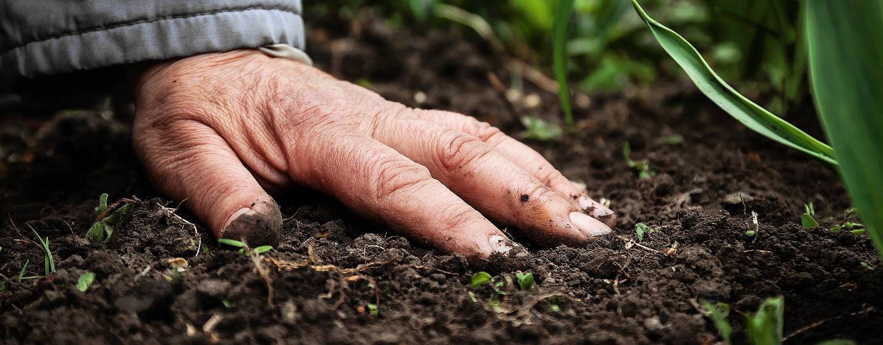 Ausgestreckte Hand auf der Erde