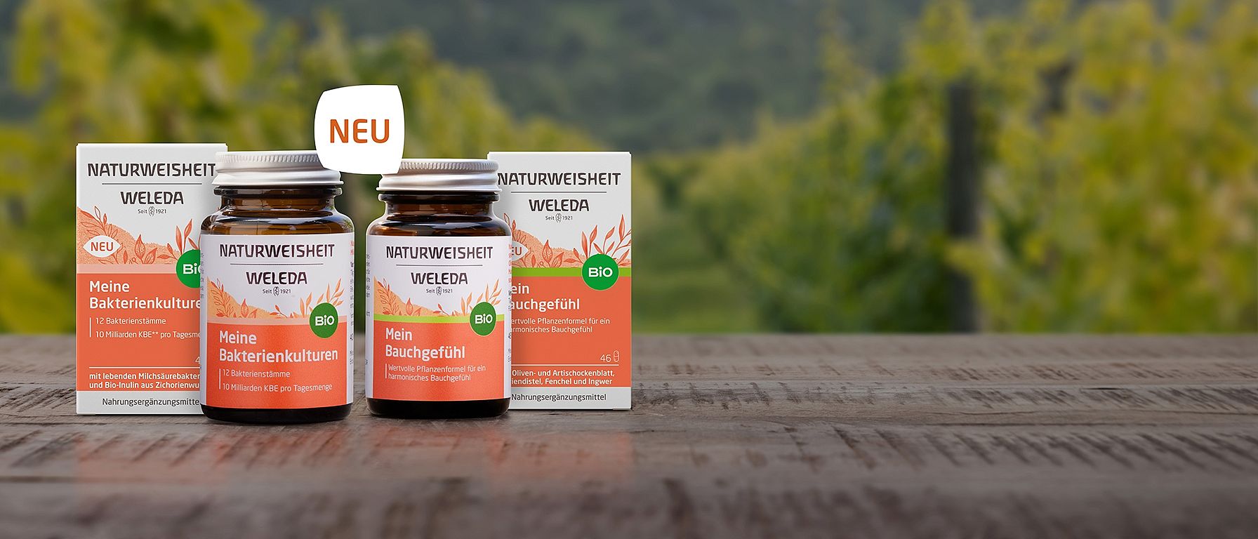 Produktabbildung Mein Bauchgefühl & Meine Bakterienkulturen