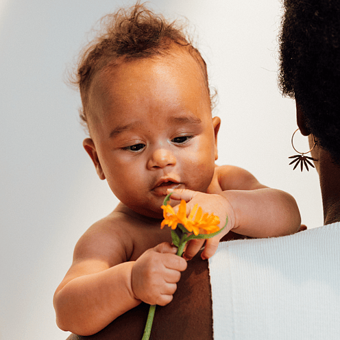 baby spielt mit calendulablüte auf dem arm der mutter