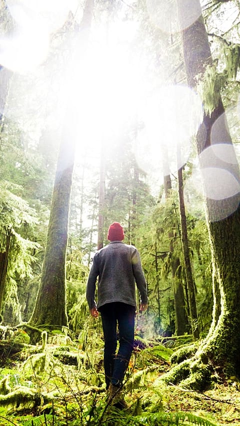 Mann geht im Wald spazieren