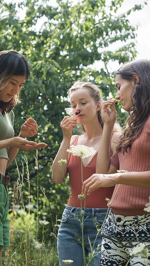 Drei Frauen stehen auf einer Wiese und halten sich Pflanzen an die Nase