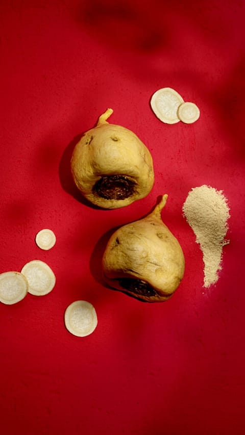 Maca Wurzeln