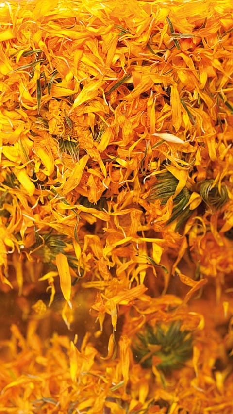 Getrocknete Calendula Blütenblätter