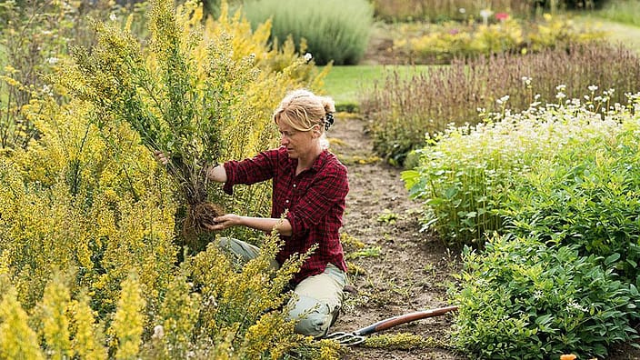 Eine Frau bei der Gartenarbeit