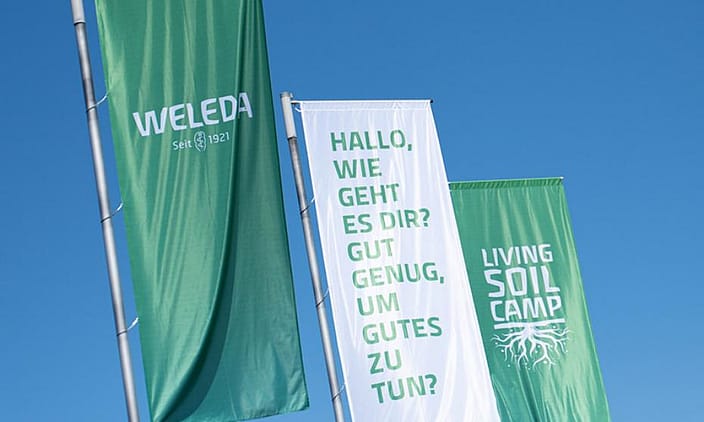 Soil Camp