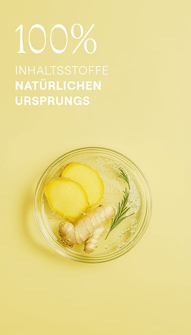 Ingwer, Ingwerscheiben, Rosmarin Zweig in einer Petrischale. 100% Inhaltsstoffe natürlichen Ursprungs.