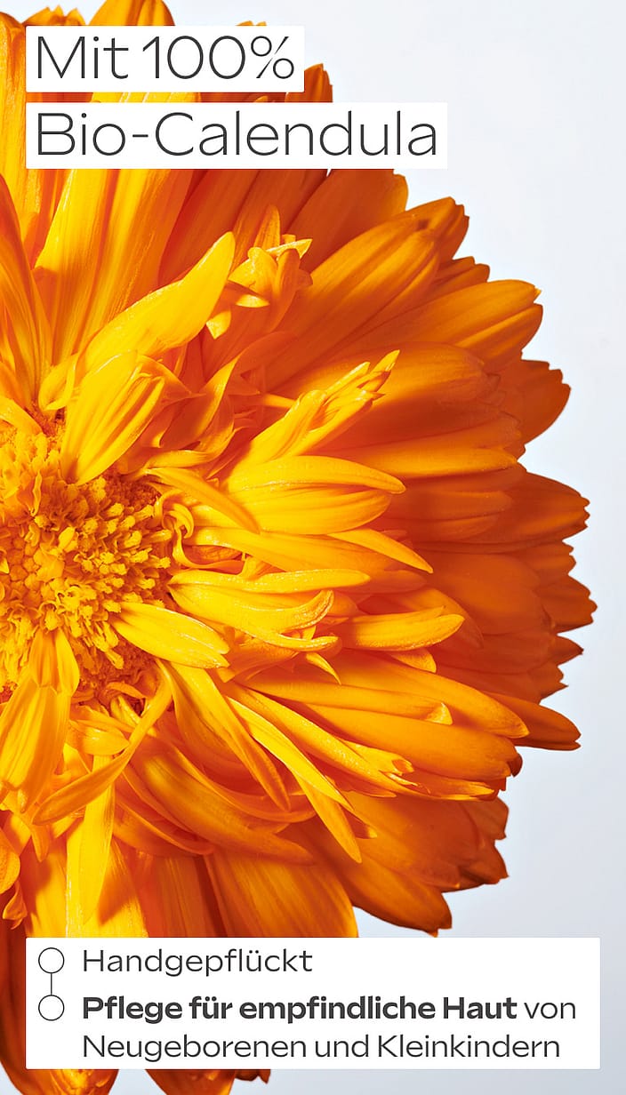 Calendula Wundschutzcreme