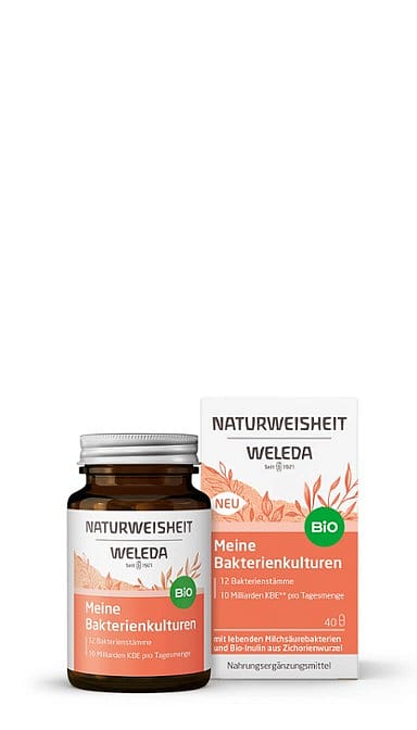 Meine Bakterienkulturen