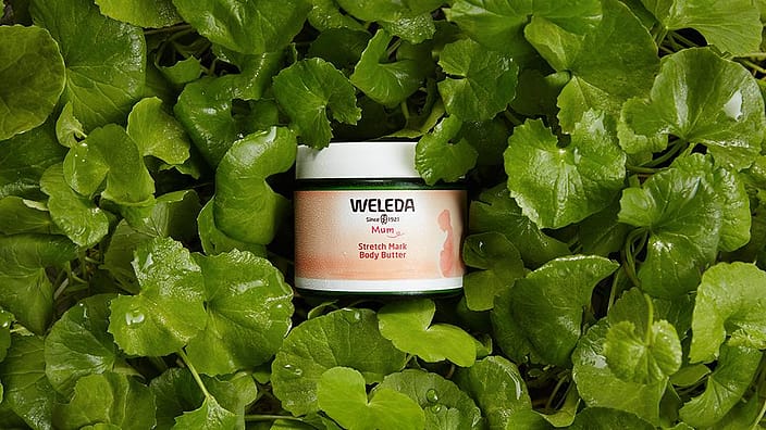 Produkt Schwangerschafts Body Butter