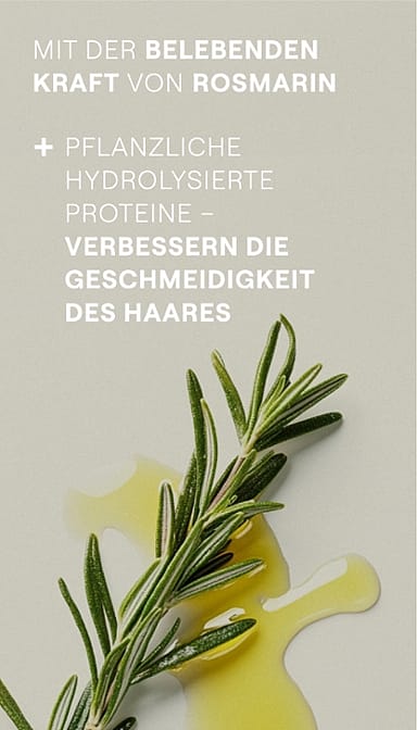 Rosmarinzweig & -öl. Mit der belebenden Kraft von Rosmarin. Pflanzliche hydrolysierte Proteine - verbessern die Gescheidigkeit des Haares.