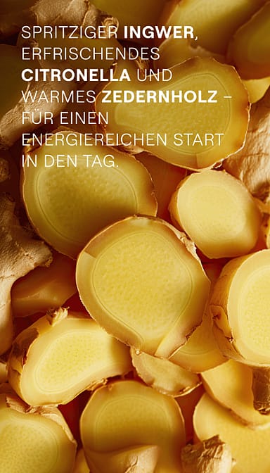 Ingwer. Spritziger Ingwer, erfrischendes Citronella und warmes Zedernholz - für einen energiereichen Start in den Tag.