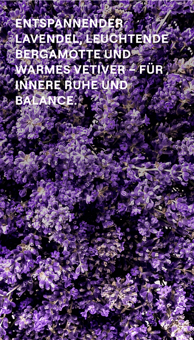 Lavendelblüten. Entspannender Lavendel, leuchtende Bergamotte und warmes Vetiver - für innere Ruhe und Balance.
