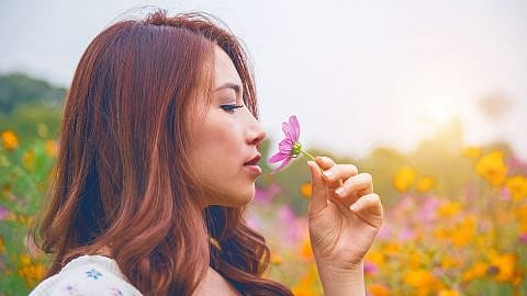 Frau im Blumenfeld