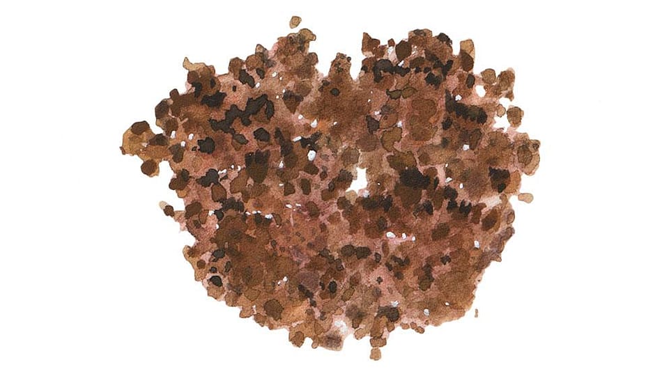 Iron Oxides (CI 77491 / 77492 / 77499)
