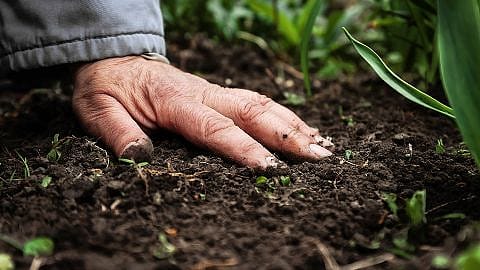 Ausgestreckte Hand auf der Erde