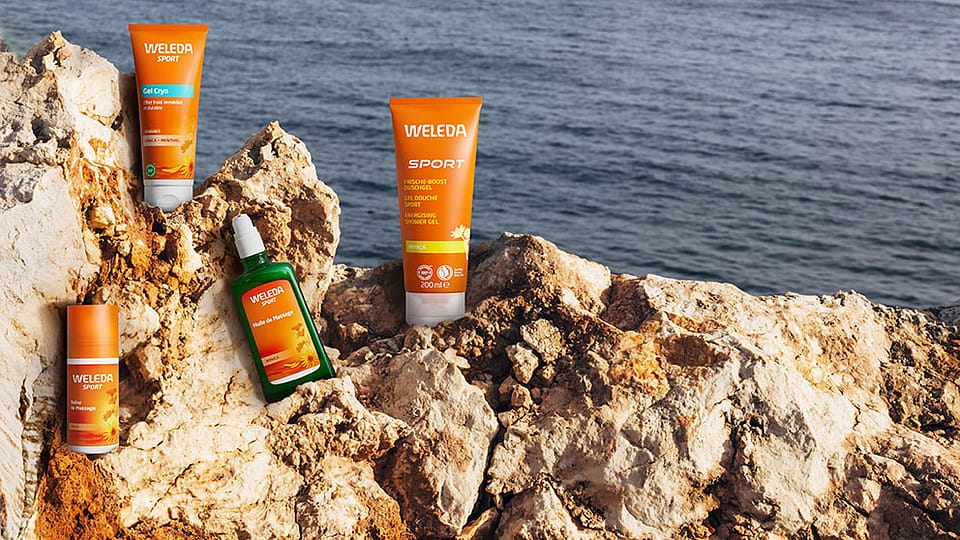 Weleda Arnika Produkte auf einem Felsen am Meer