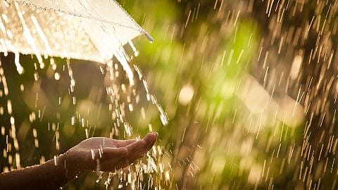 Regen und Regenschirm