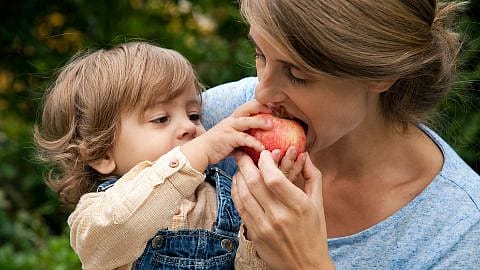 Sohn gibt Mama einen Apfel zum rein beissen
