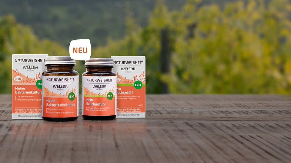 Produktabbildung Mein Bauchgefühl & Meine Bakterienkulturen