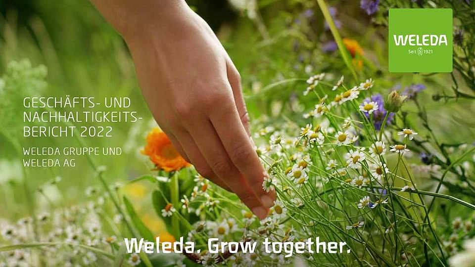 Weleda Naturkosmetik und anthroposophische Arzneimi