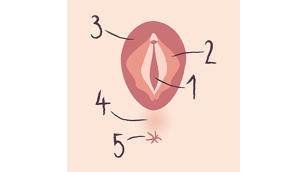 Illustration zur Massage