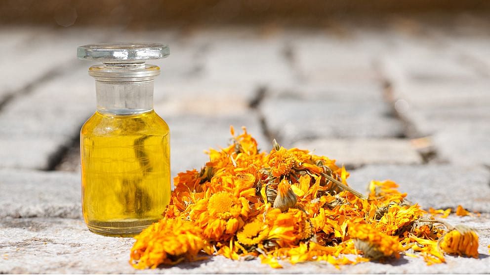 Flasche mit Öl umringt von Calendula Blüten