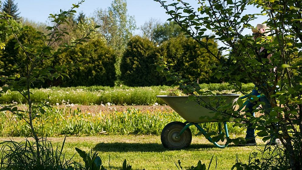 weleda garten